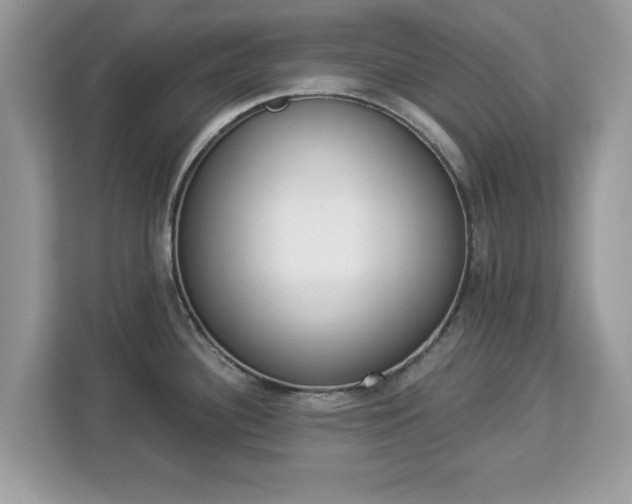 X0000112841340200908281544