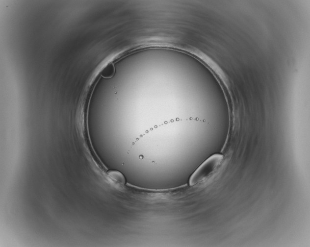 X0000112841341200908281544