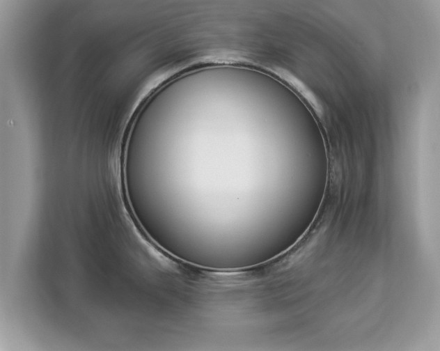 X0000112841343200908281544