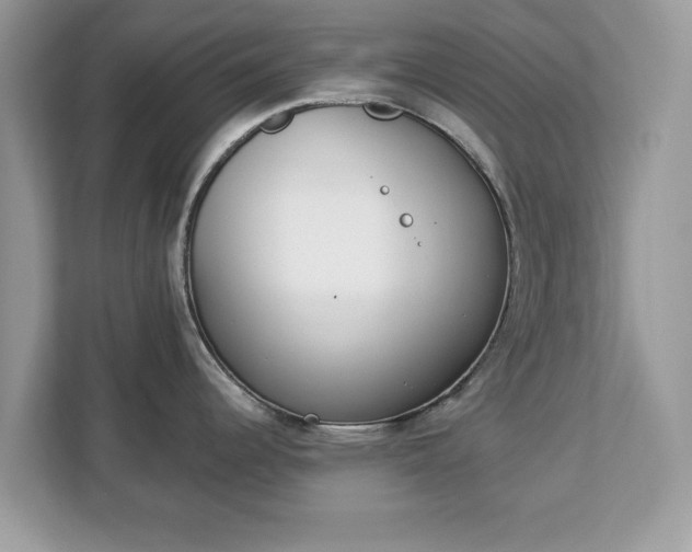 X0000112841344200908281544