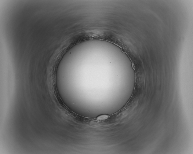 X0000112841345200908281543