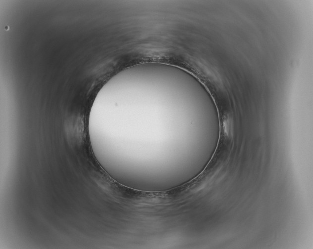 X0000112841347200908281543