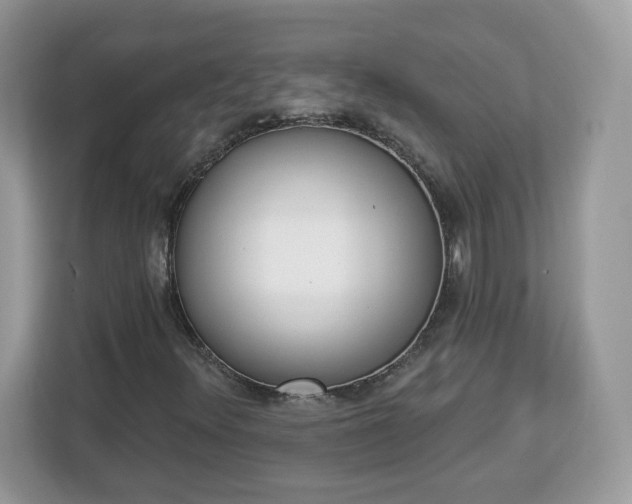 X0000112841348200908281543