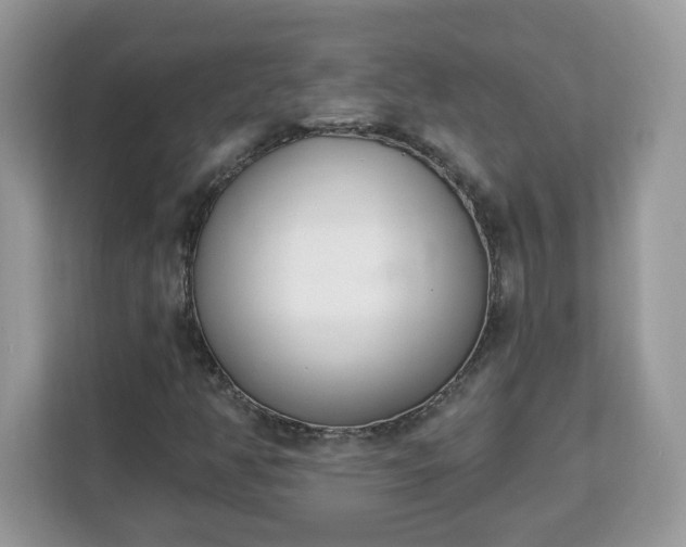 X0000112841350200908281543