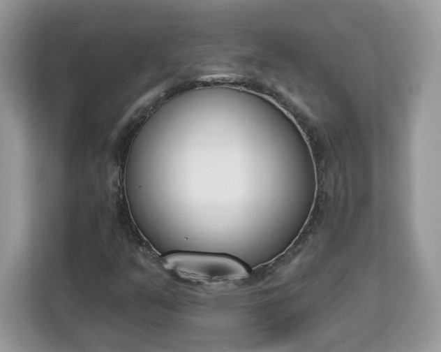 X0000112841351200908281543