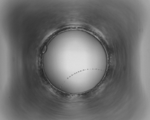 X0000112841352200908281543