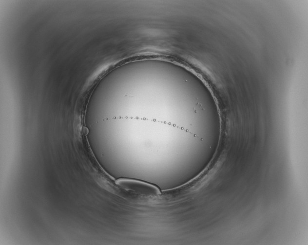 X0000112841355200908281543