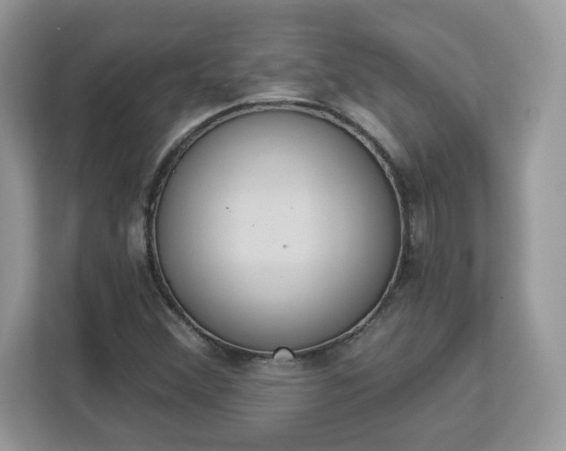 X0000112841356200908281543