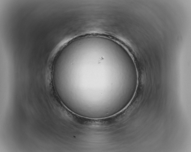 X0000112841359200908281543