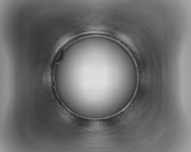 X0000112841360200908281543