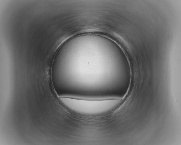 X0000112841361200908281543