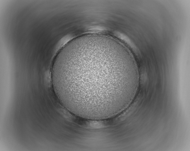 X0000112841362200908281543