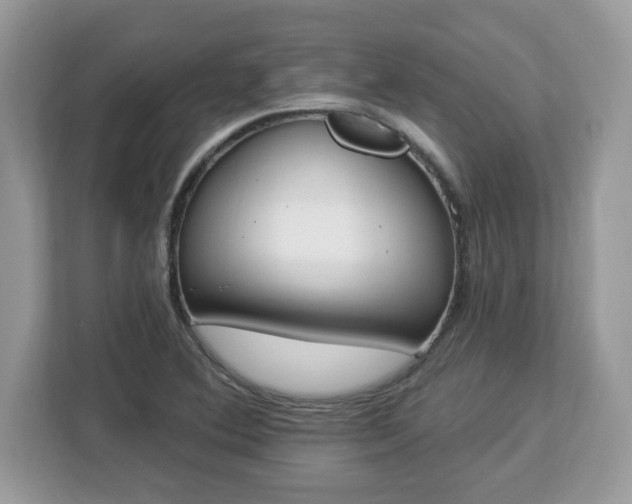 X0000112841364200908281543