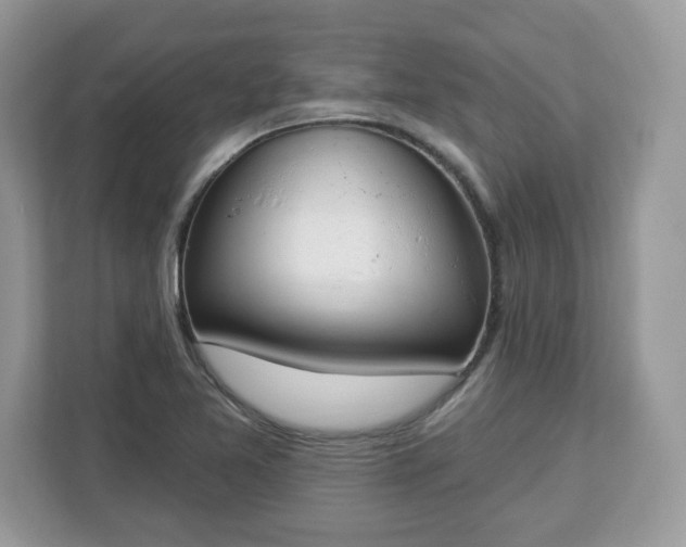 X0000112841365200908281543