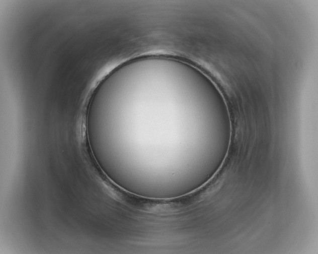 X0000112841367200908281543