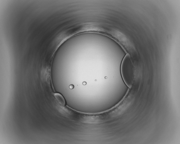 X0000112841369200908281543