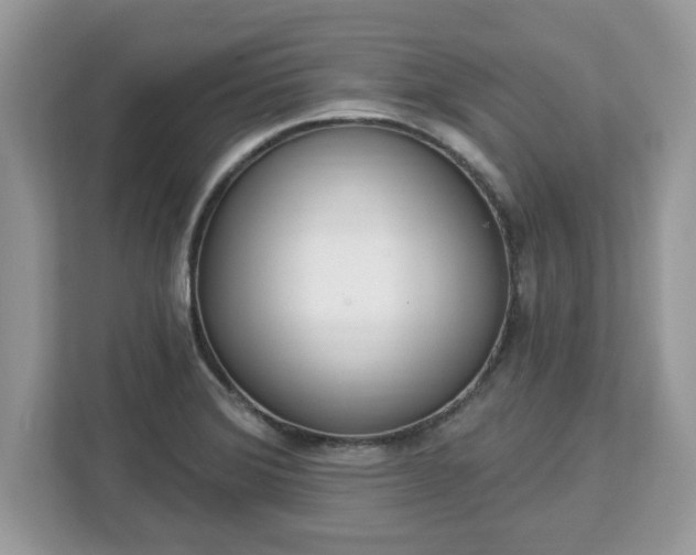 X0000112841372200908281543