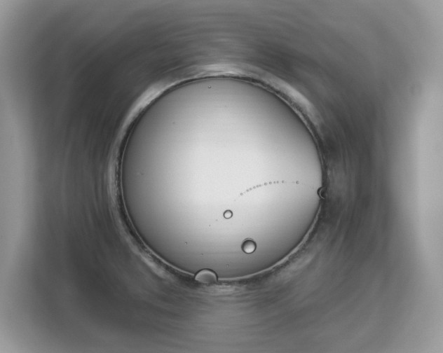 X0000112841373200908281543