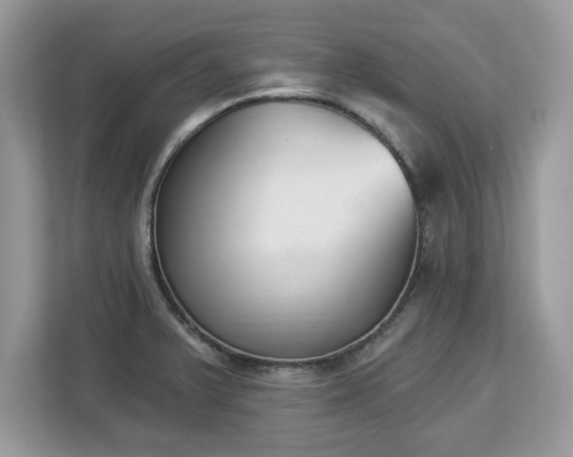 X0000112841375200908281543