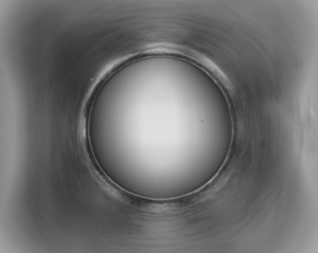 X0000112841376200908281543