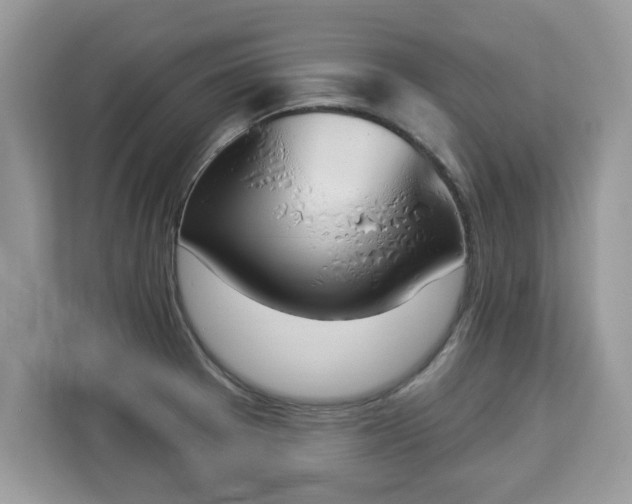 X0000112841377200908281543