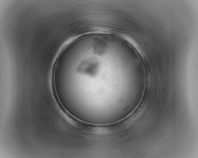 X0000112841379200908281543