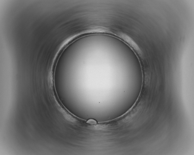 X0000112841380200908281543