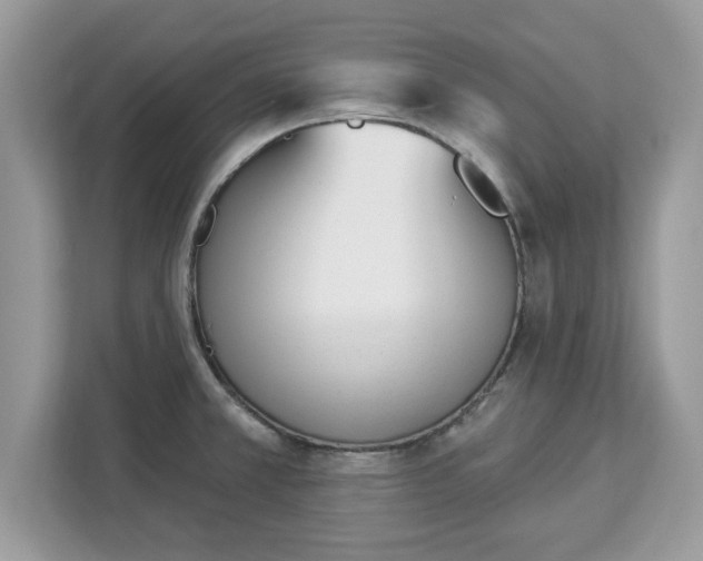 X0000112841381200908281543