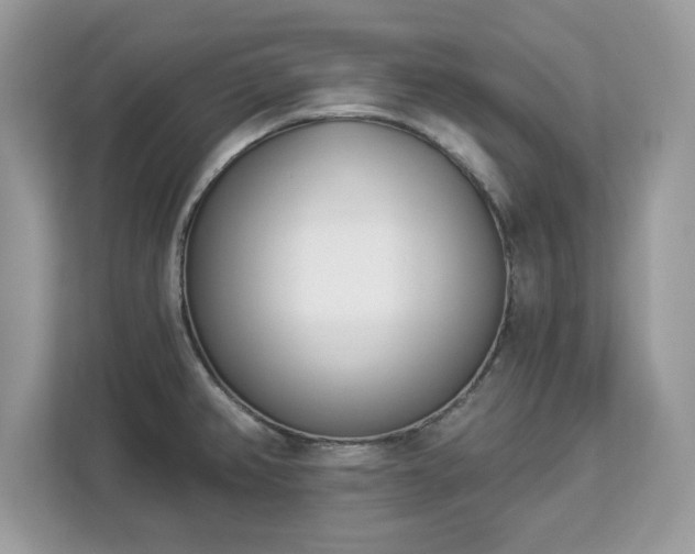 X0000112841382200908281543