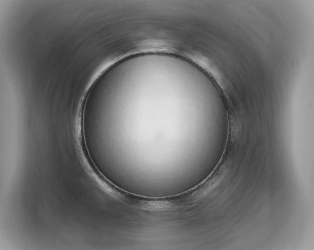 X0000112841383200908281543