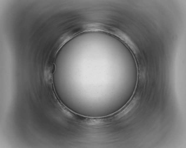 X0000112841385200908281543