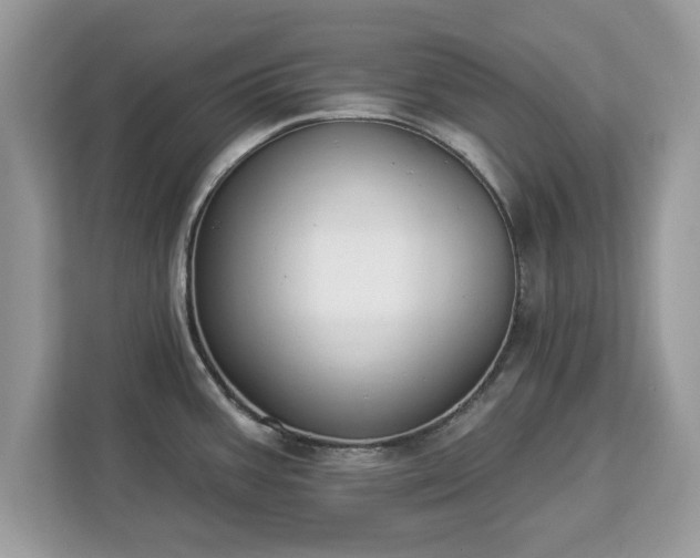 X0000112841387200908281543