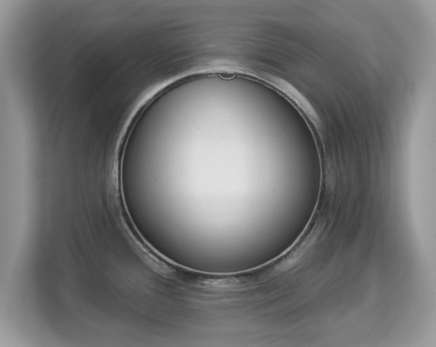 X0000112841388200908281543