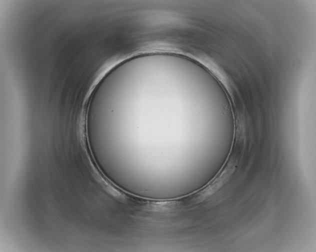 X0000112841390200908281543