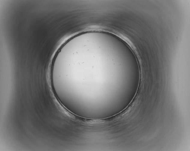 X0000112841392200908281543