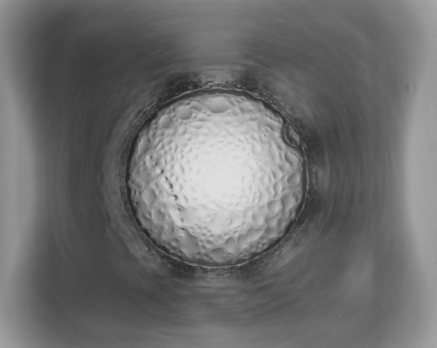 X0000112841393200908281542