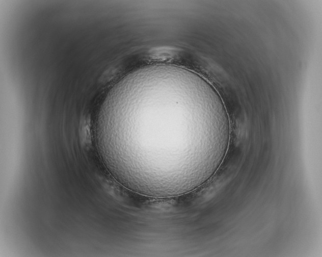 X0000112841394200908281542