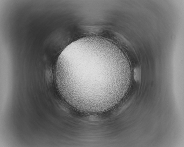 X0000112841395200908281542