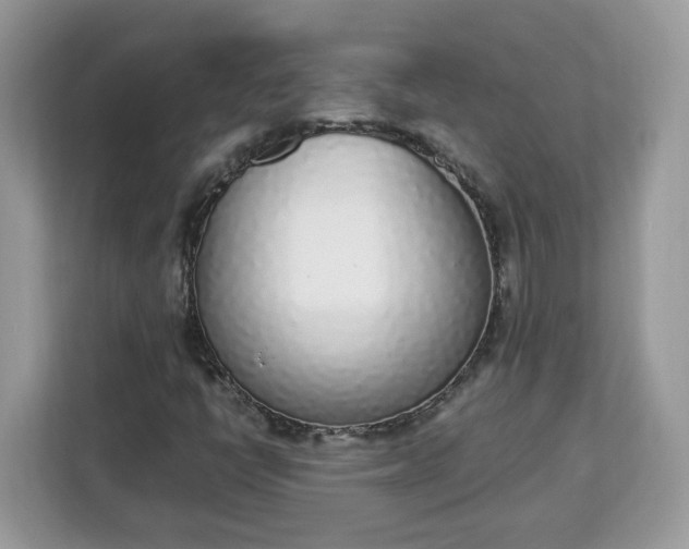 X0000112841398200908281542