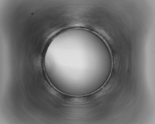 X0000112841404200908281542