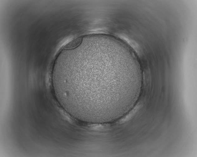 X0000112841405200908281542