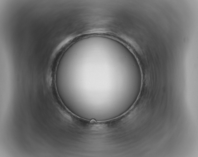 X0000112841406200908281542