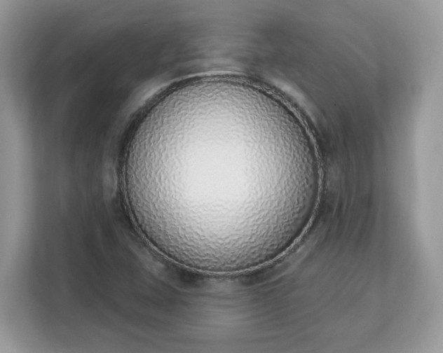 X0000112841407200908281542