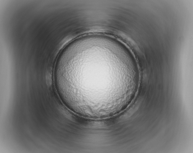 X0000112841409200908281542