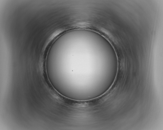 X0000112841410200908281542