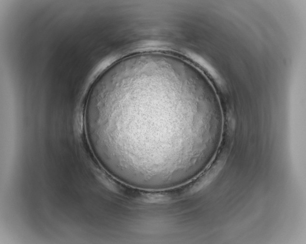 X0000112841413200908281542