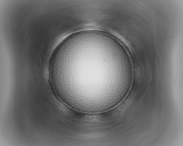 X0000112841415200908281542