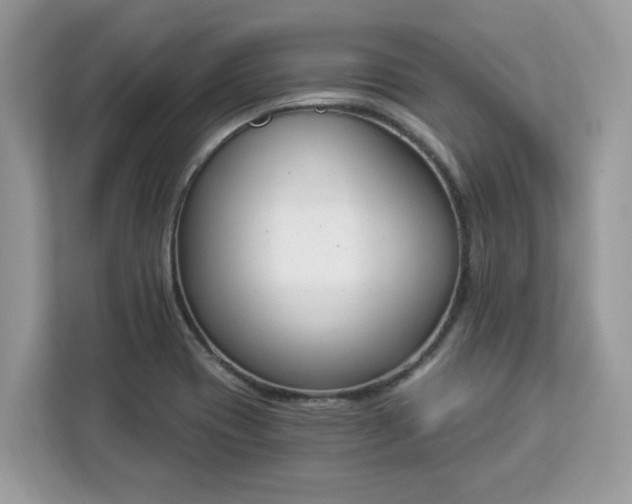 X0000112841417200908281542