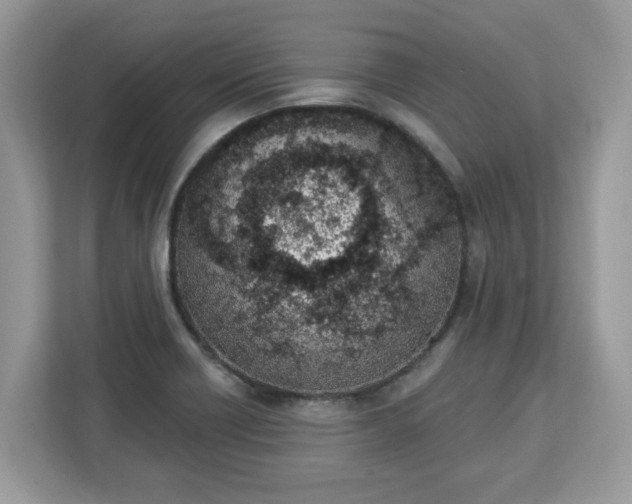 X0000112841418200908281542