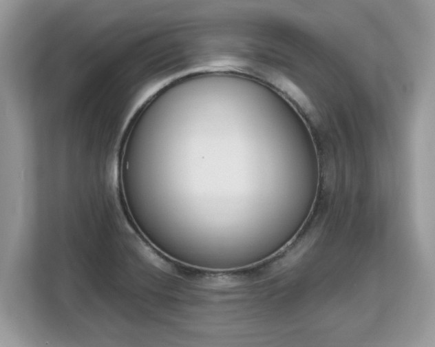 X0000112841420200908281542